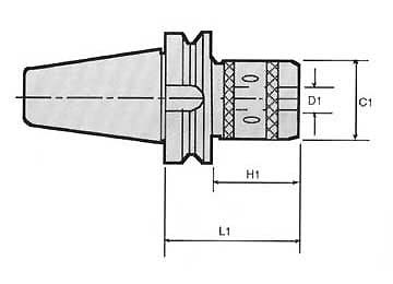 8-6-2p.jpg (13501 bytes)